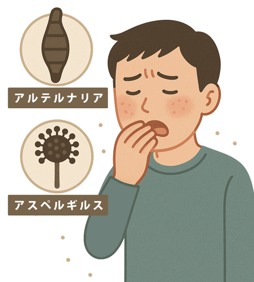 カビのイメージ
